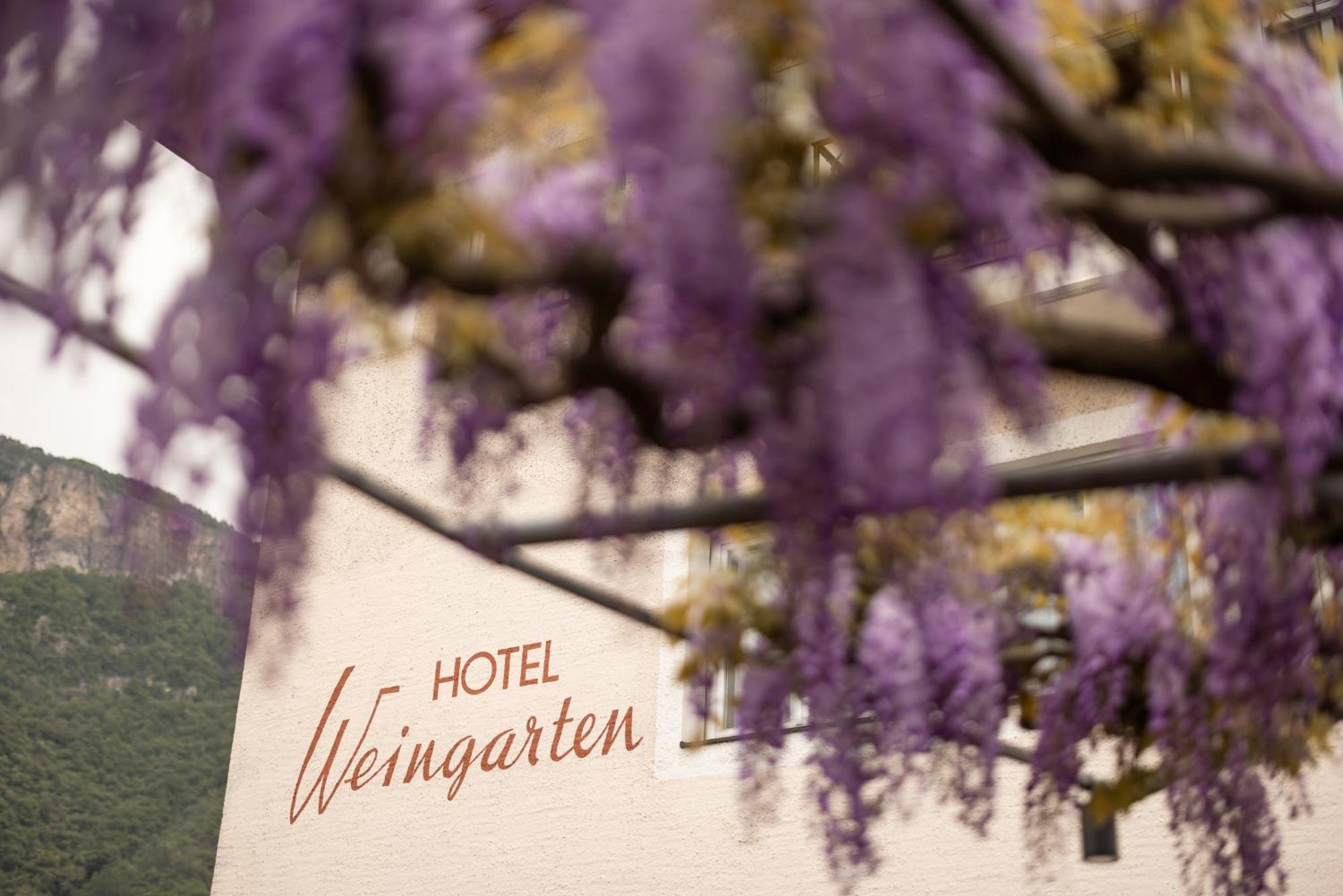 Weingarten Terlan - Rooms & Breakfast Esterno foto