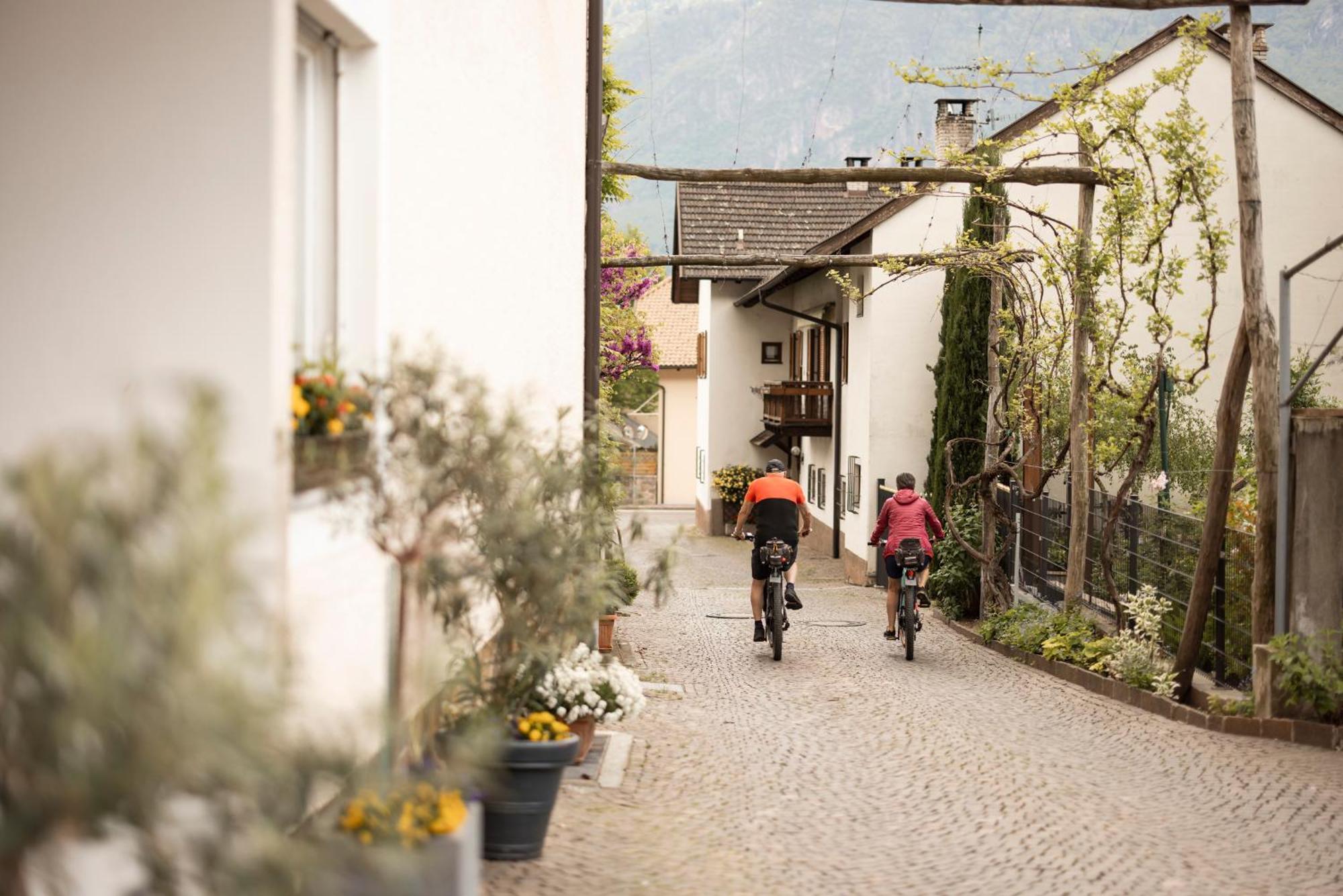 Weingarten Terlan - Rooms & Breakfast Esterno foto